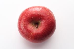 大阪の夜を彩る魅力溢れるホストクラブを体験せよ！