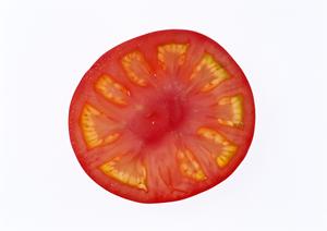 錦の報酬や諸条件が良いナイトワーク